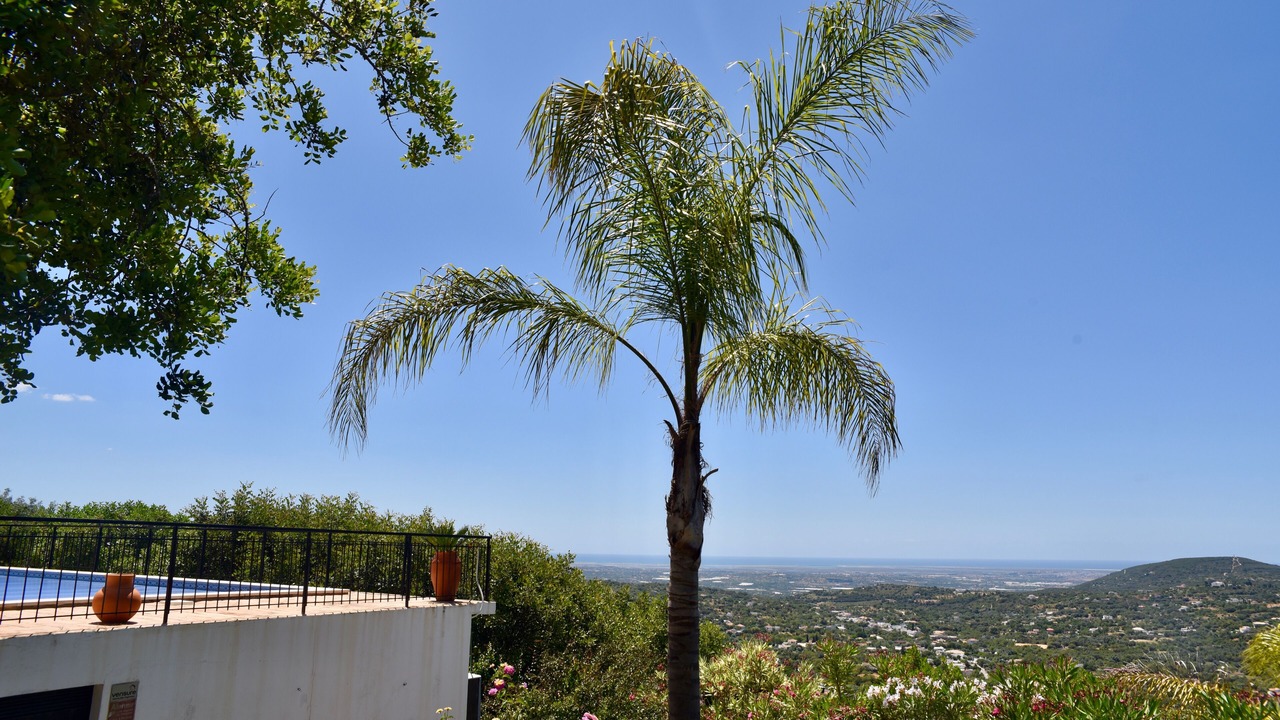 Photo of Outdoor in Quinta das Raposeiras