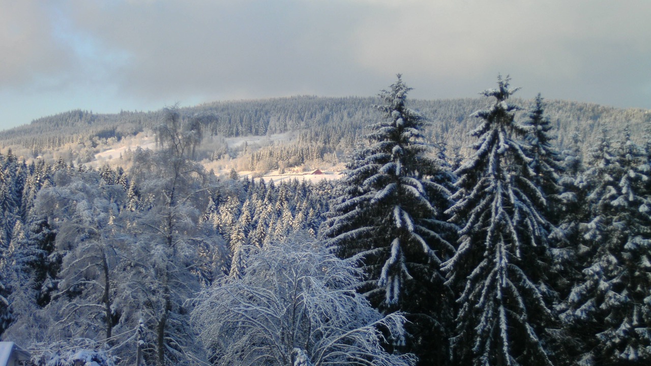 Photo of Others in Gerardmer
