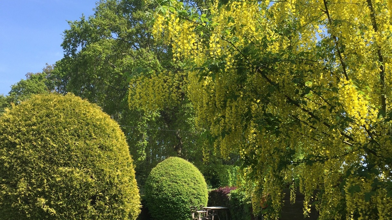 Photo of Outdoor in Sainte-Mere-Eglise