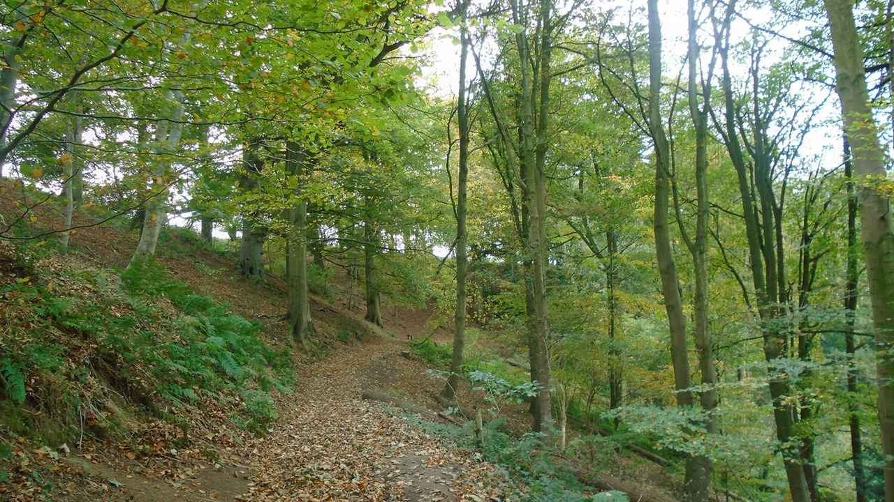 Photo of Outdoor in Norton Sub Hamdon