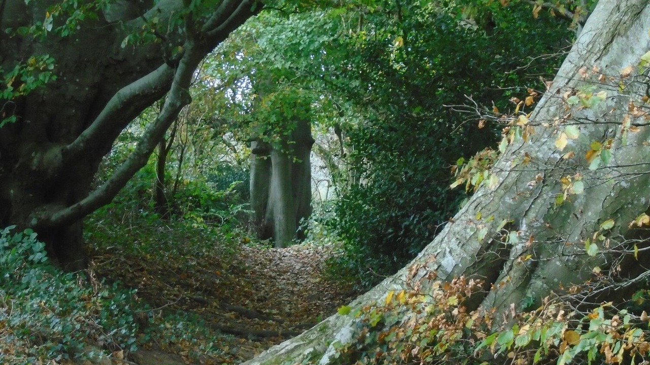 Photo of Outdoor in Norton Sub Hamdon