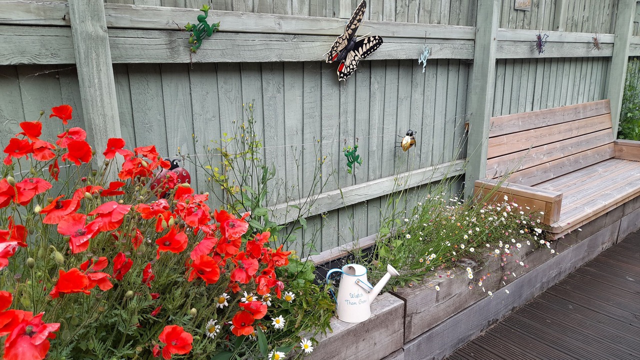 Photo of Outdoor in Norton Sub Hamdon