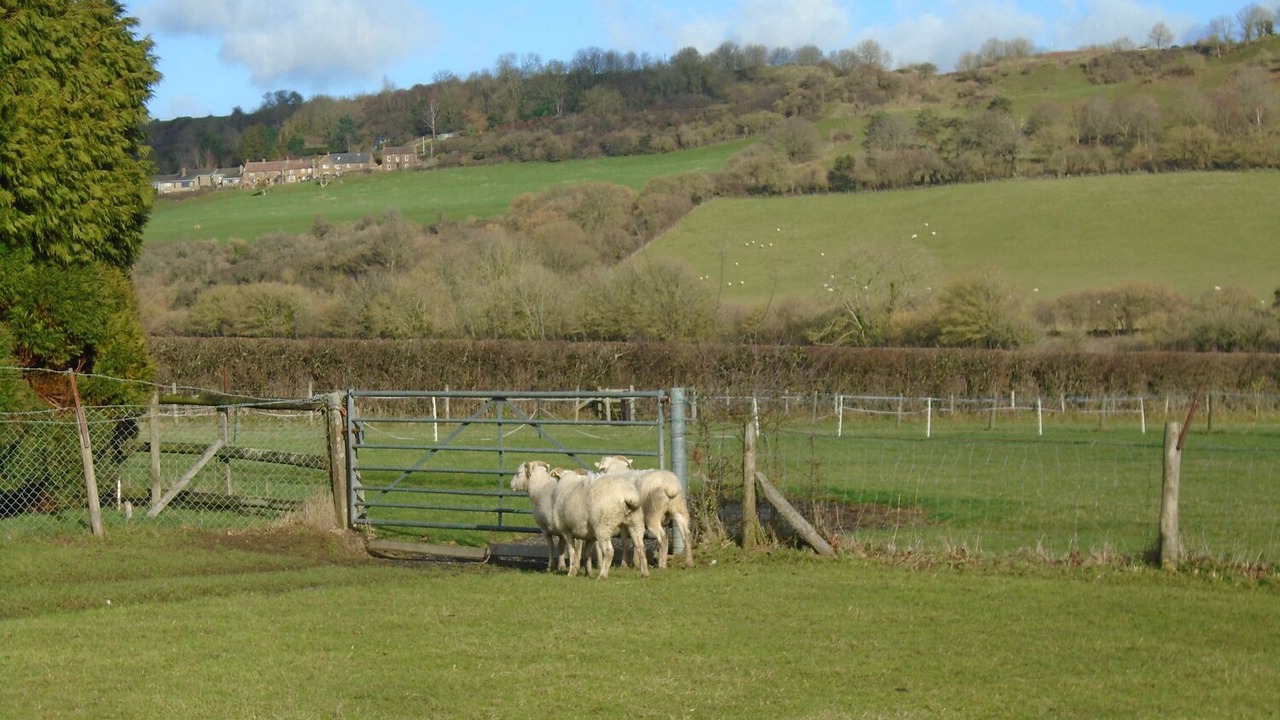 Photo of Outdoor in Norton Sub Hamdon