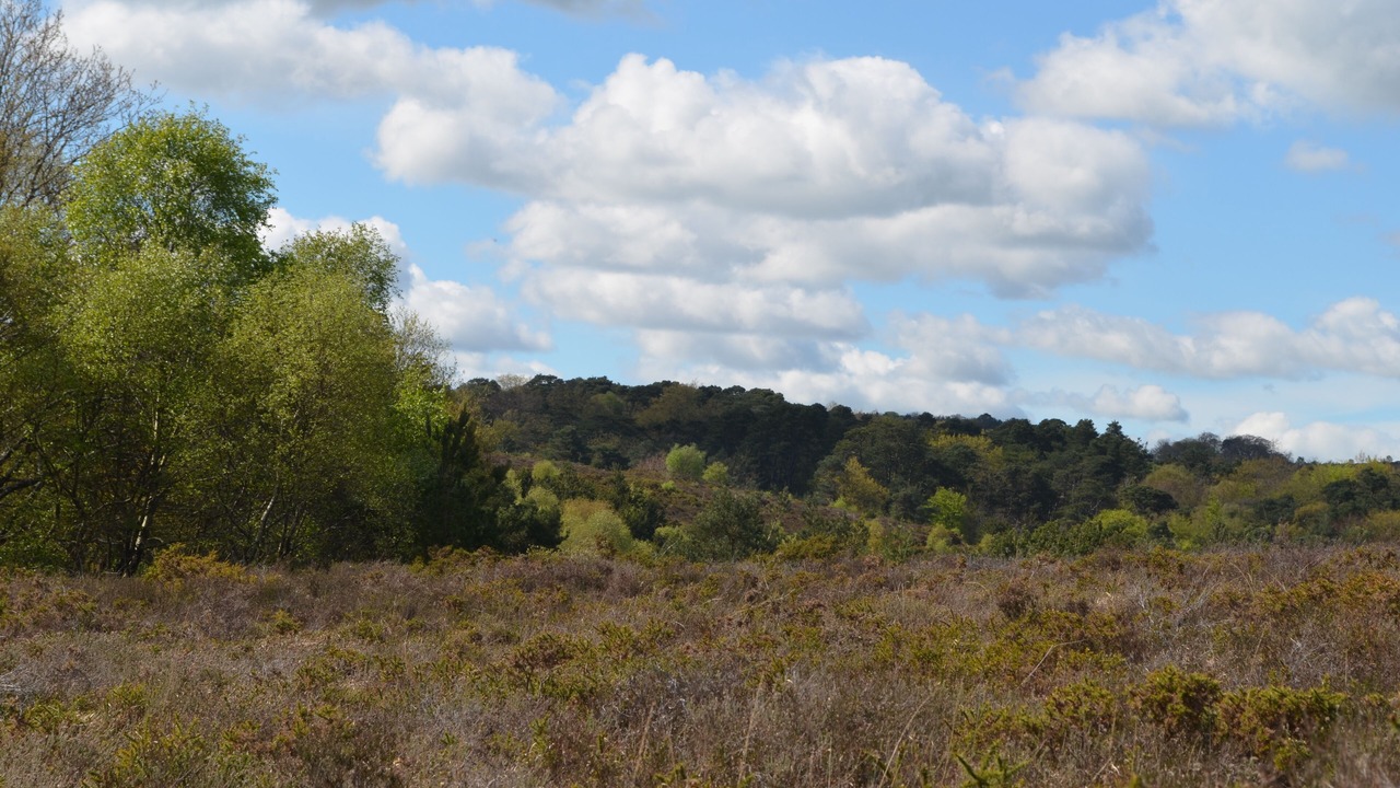 Photo of Outdoor in Bicton