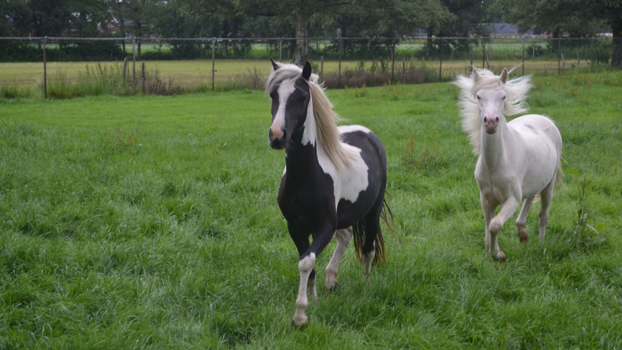 Photo of Others in Deurne
