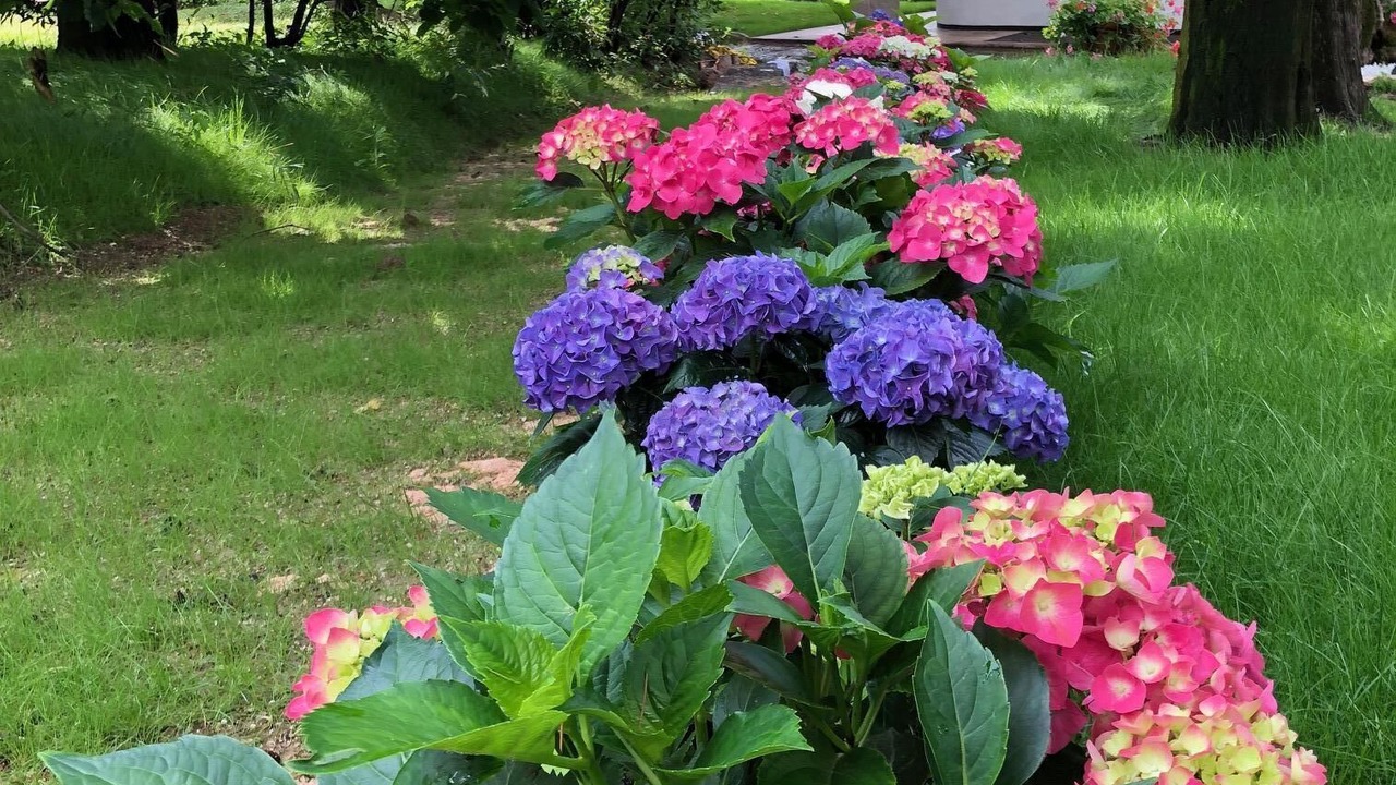 Photo of Outdoor in Corno