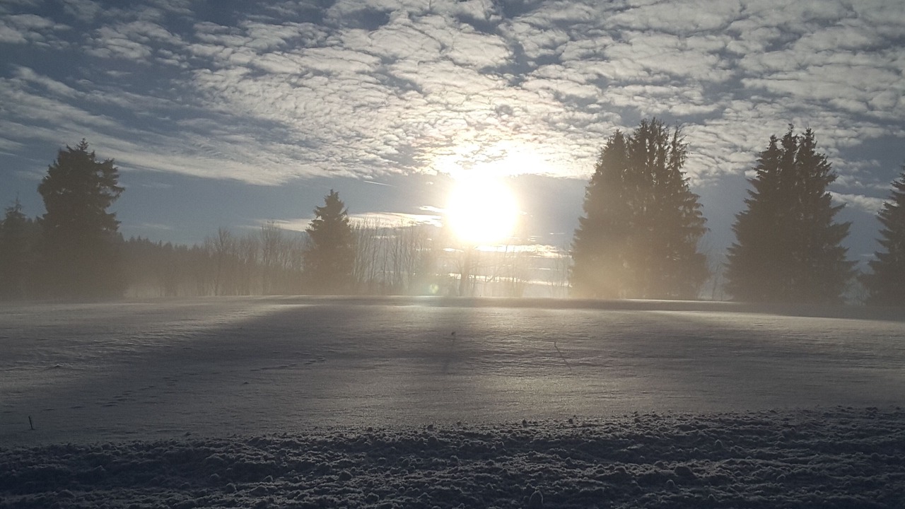 Photo of Others in Feldberg