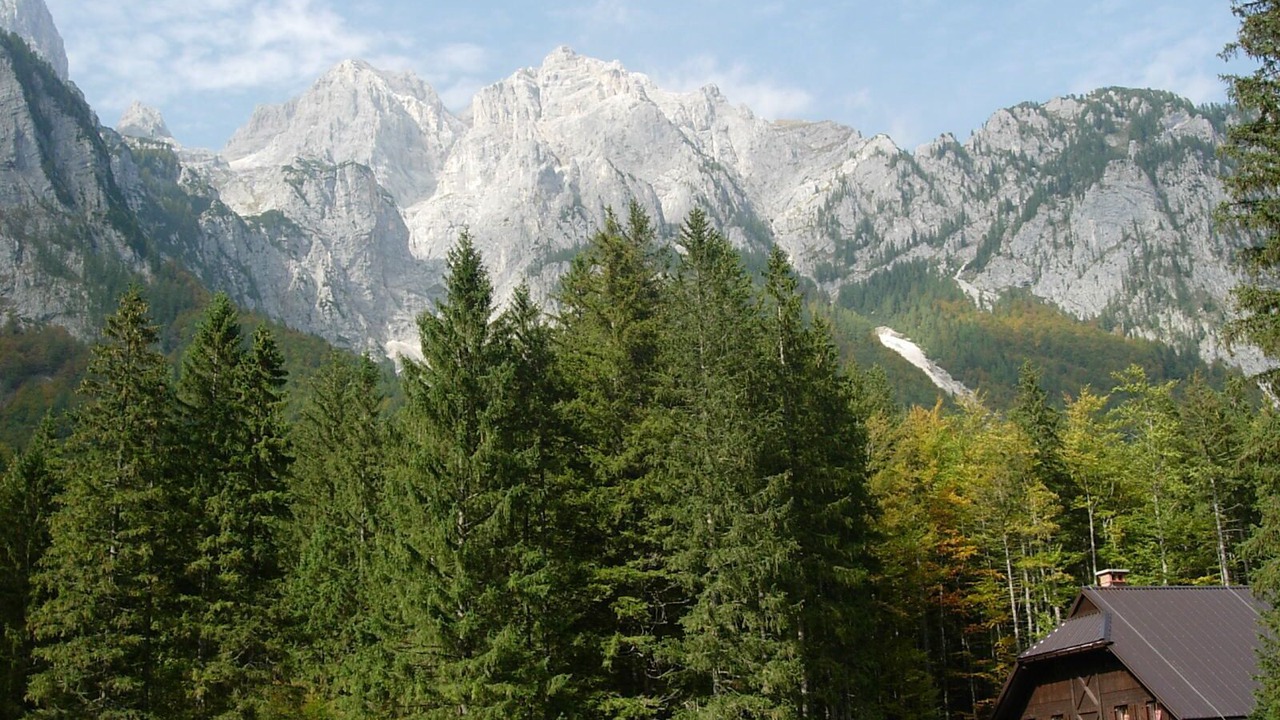 Photo of Others in Zgornje Gorje