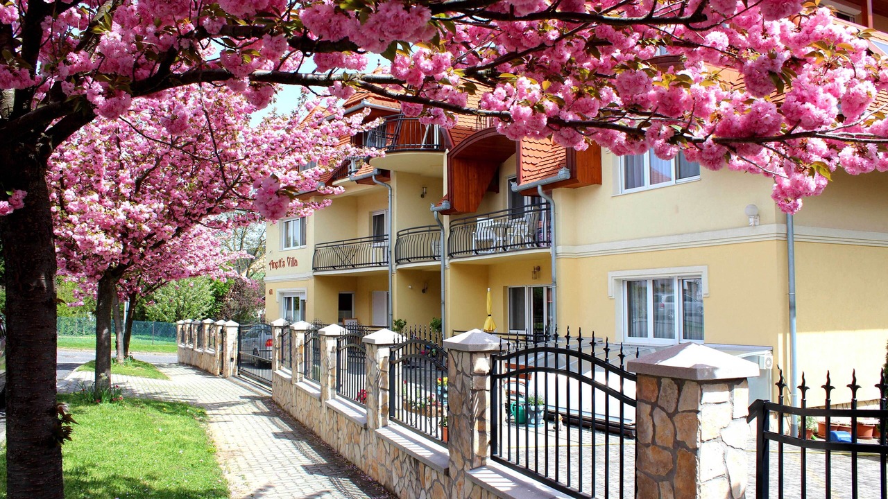 Photo of Outdoor in Heviz