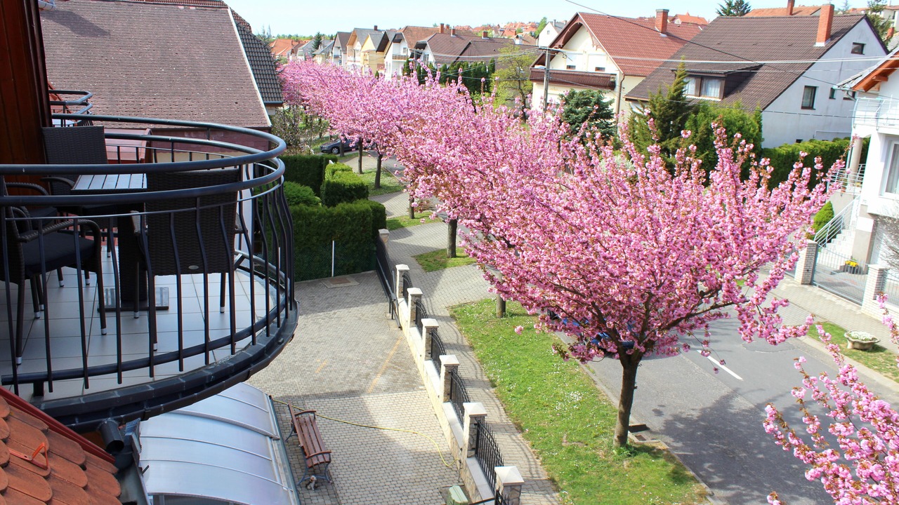 Photo of Outdoor in Heviz
