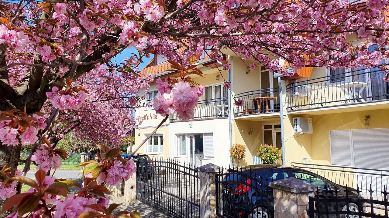 Photo of Outdoor in Heviz