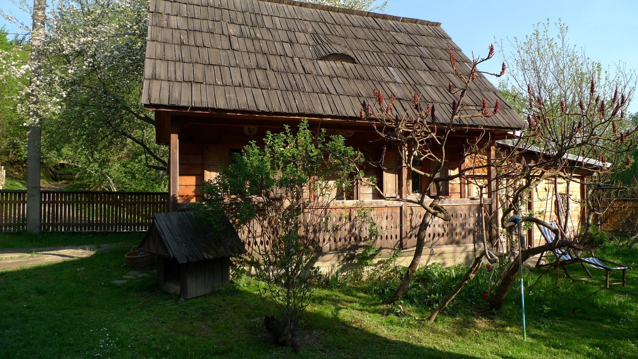 Photo of Outdoor in Viseu de Sus