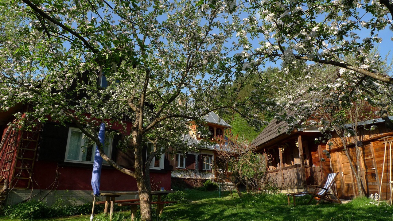 Photo of Outdoor in Viseu de Sus