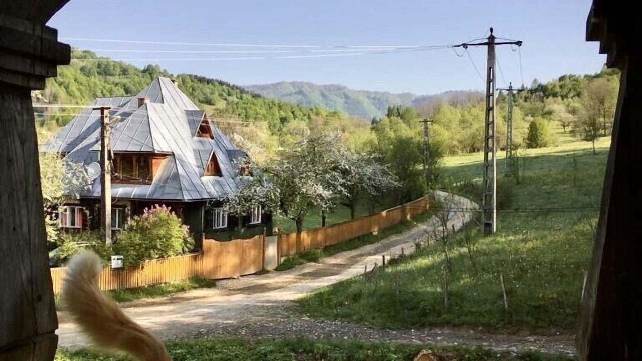 Photo of Outdoor in Viseu de Sus