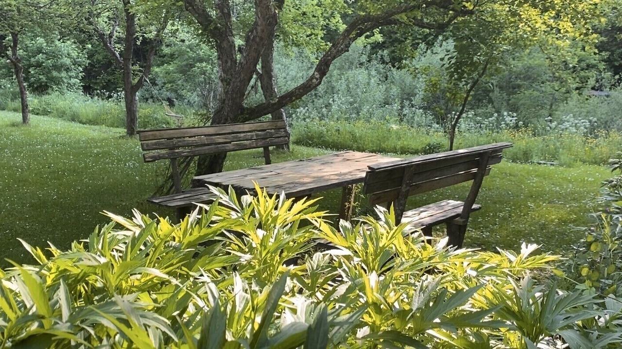 Photo of Outdoor in Viseu de Sus