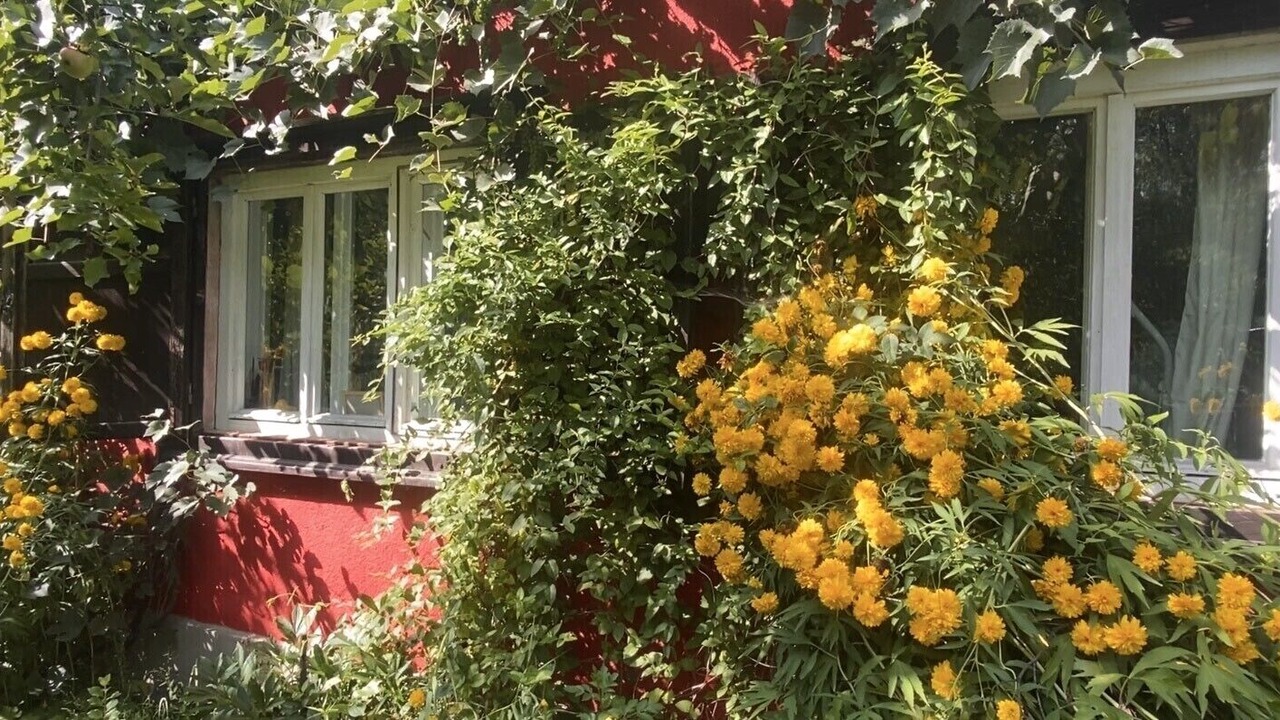 Photo of Outdoor in Viseu de Sus