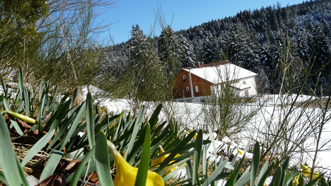 Photo of Outdoor in Liezey