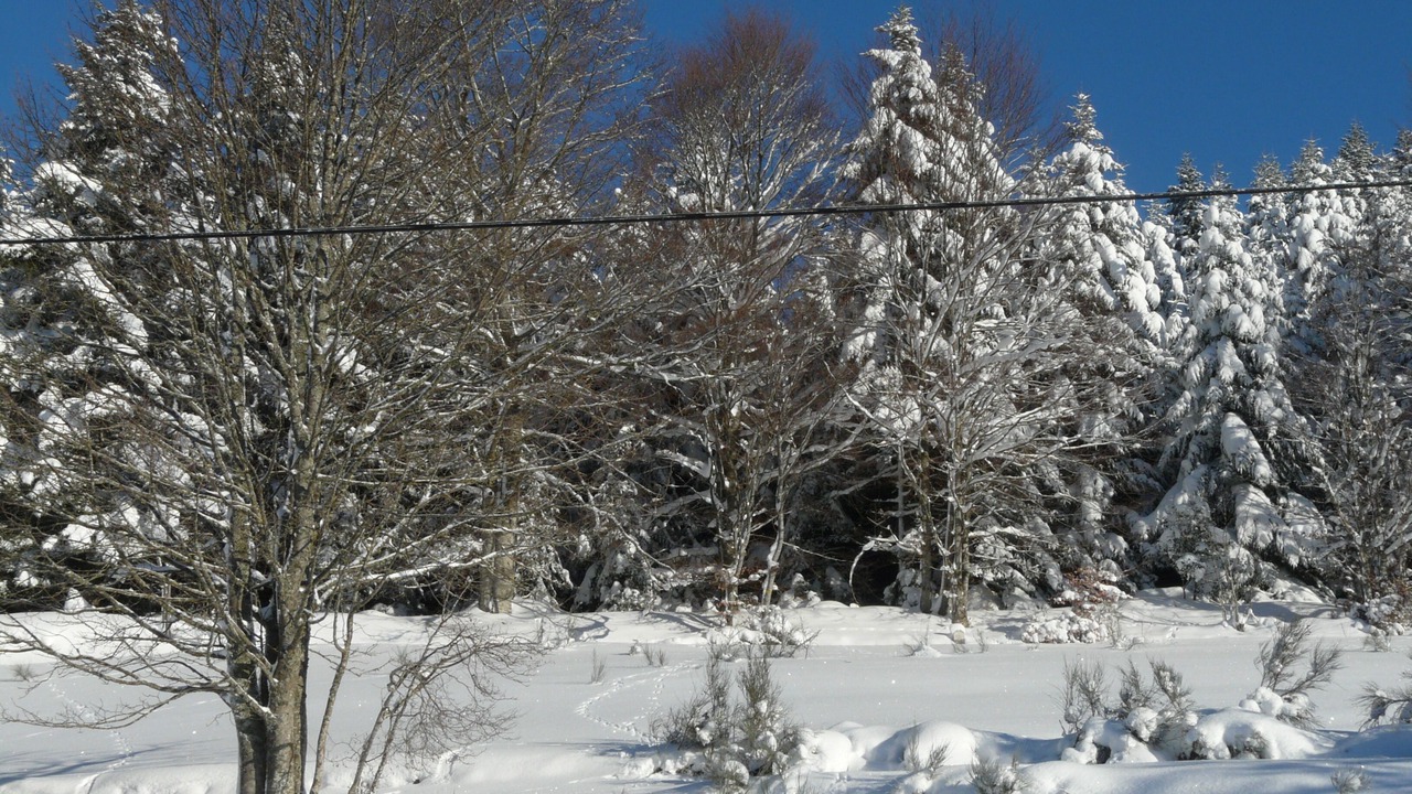 Photo of Outdoor in Liezey