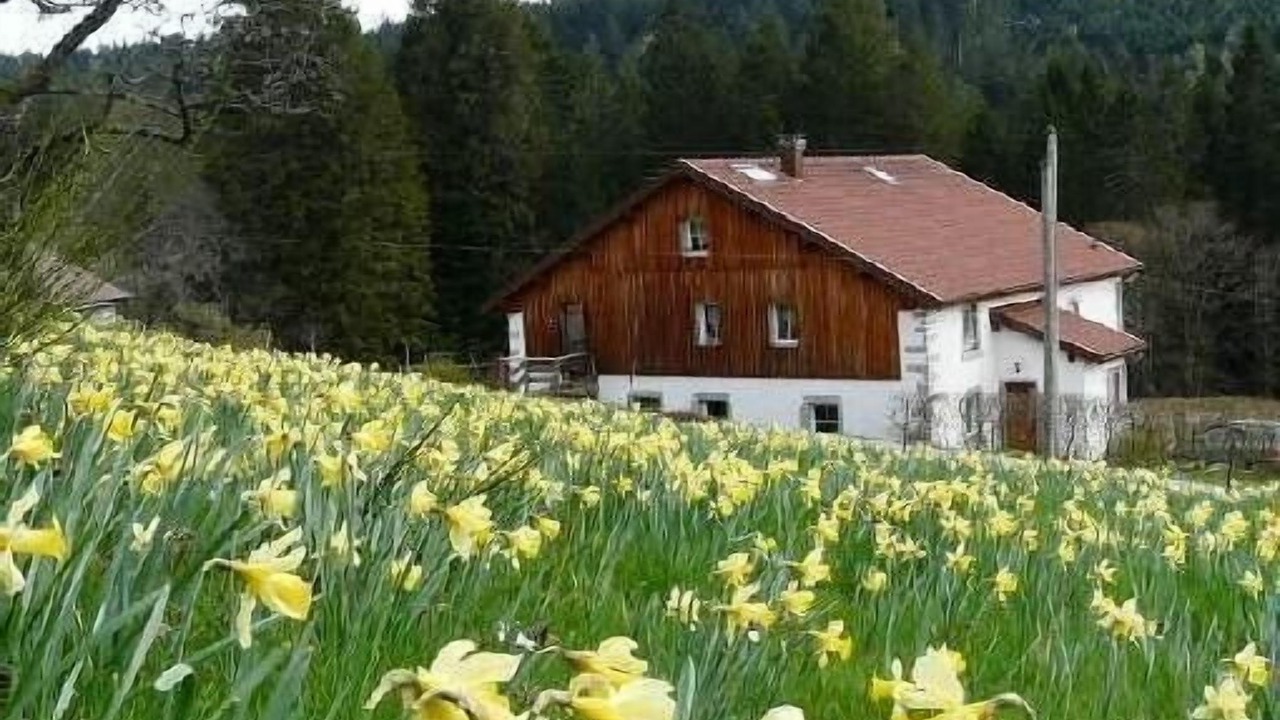 Photo of Outdoor in Liezey