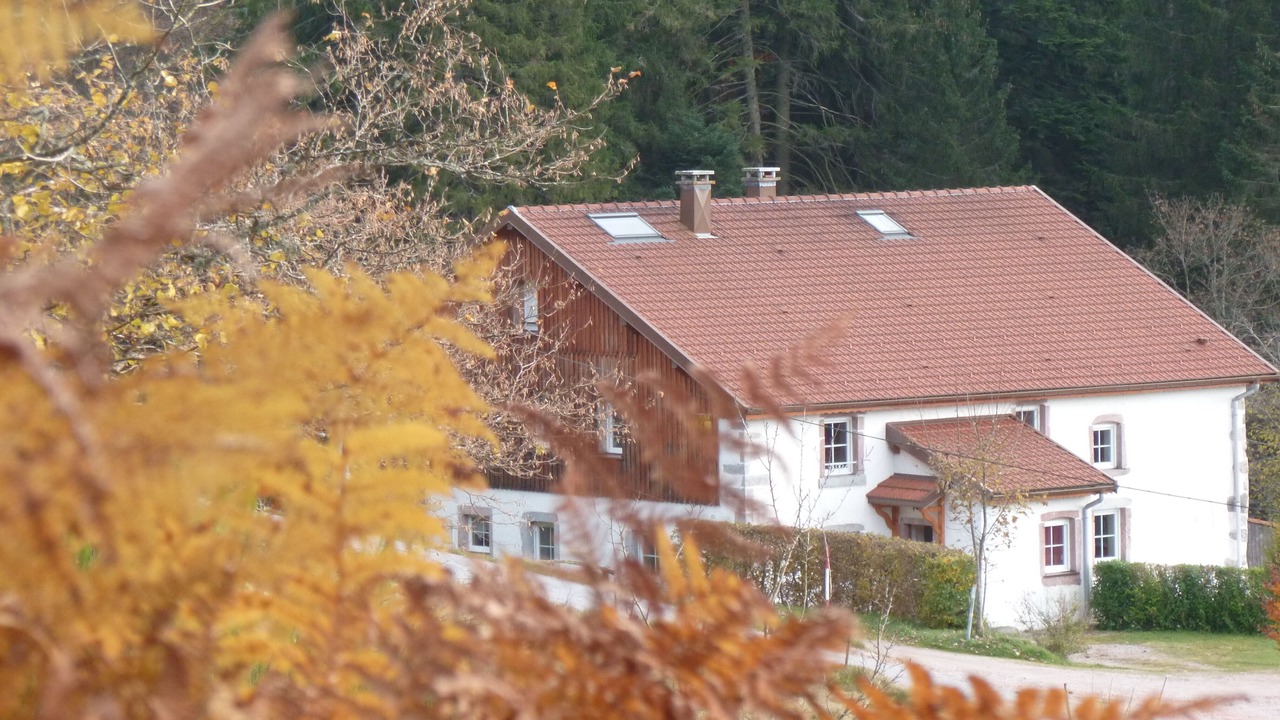 Photo of Outdoor in Liezey