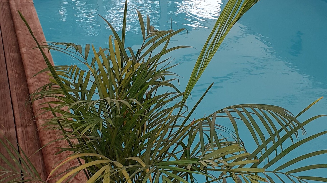 Photo of Outdoor in Ver-sur-Mer