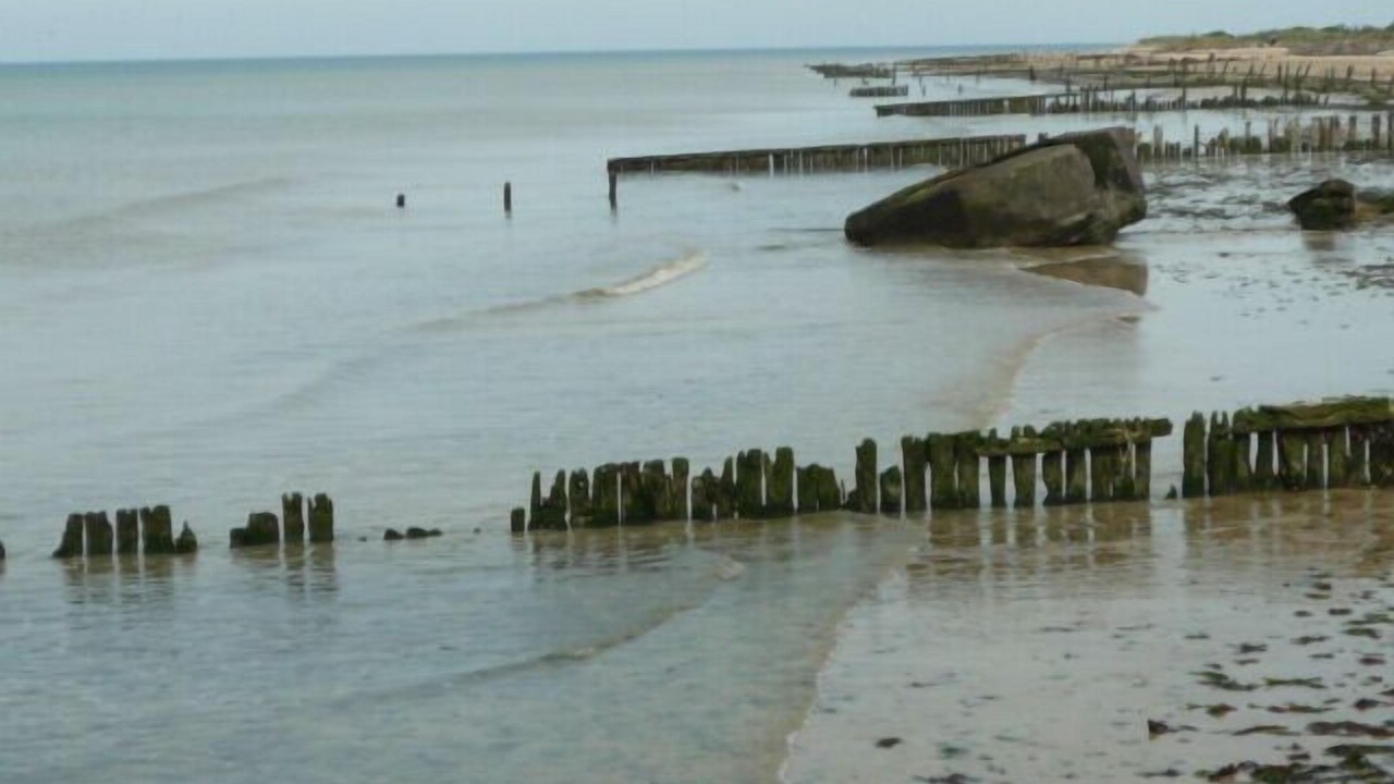Photo of Others in Ver-sur-Mer