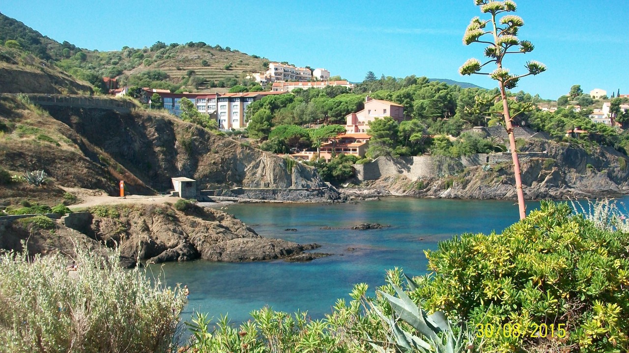 Photo of Others in Collioure