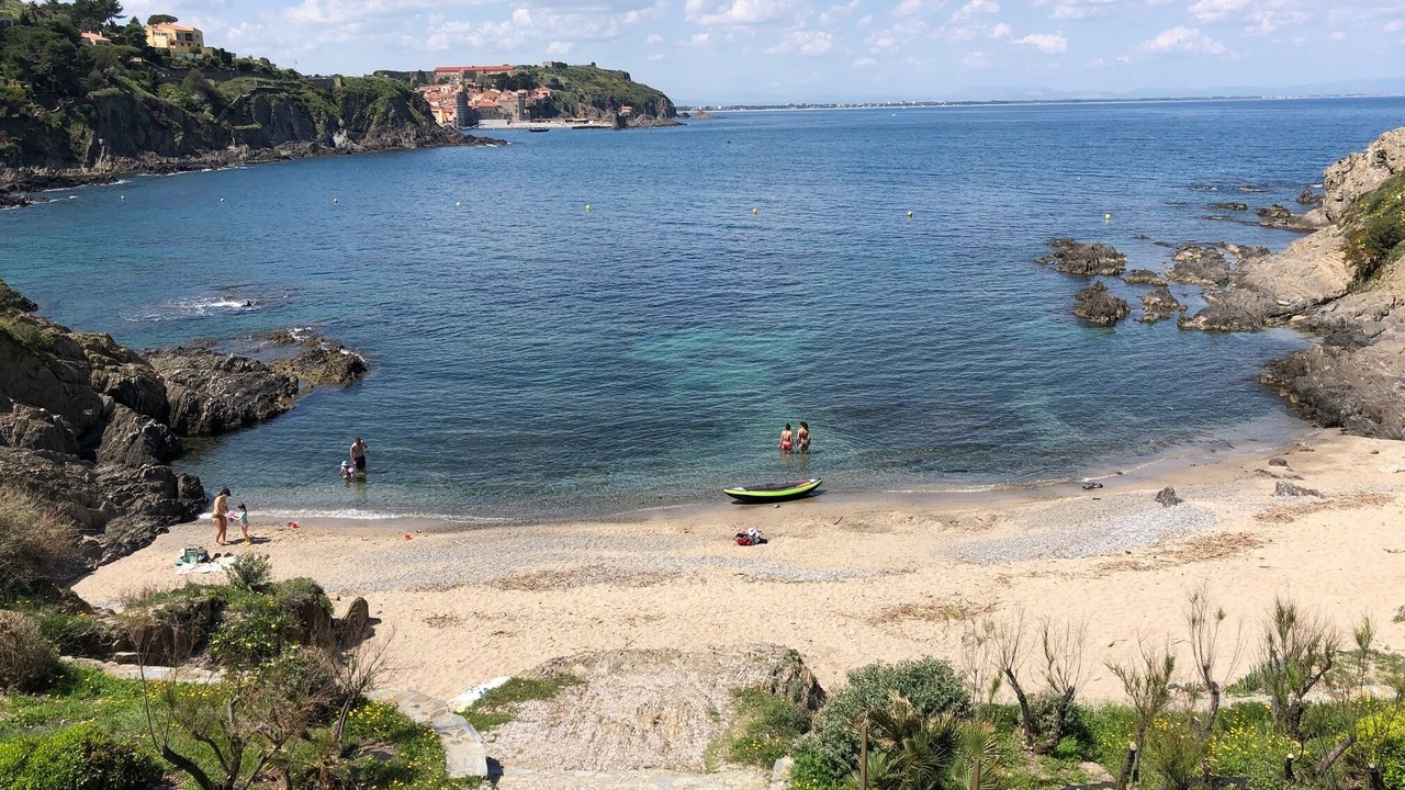 Photo of Others in Collioure