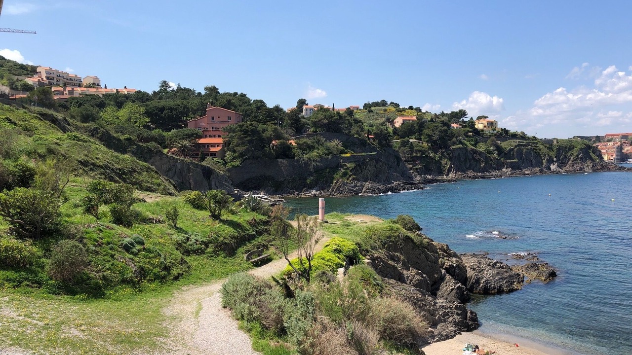 Photo of Others in Collioure