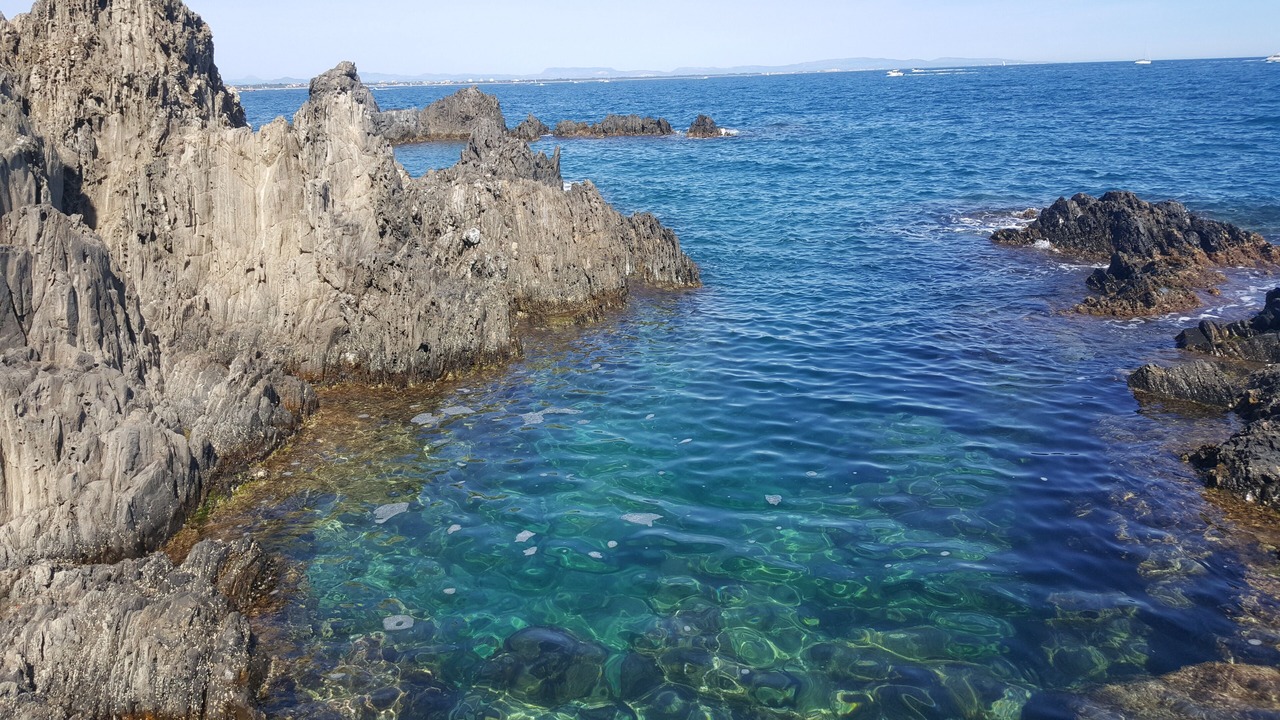 Photo of Others in Collioure