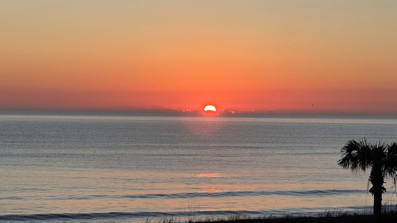Photo of Others in Palm Coast