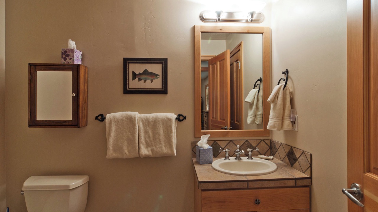Photo of Bathroom in Park Meadows