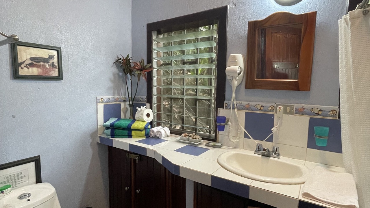Photo of Bathroom in Manuel Antonio