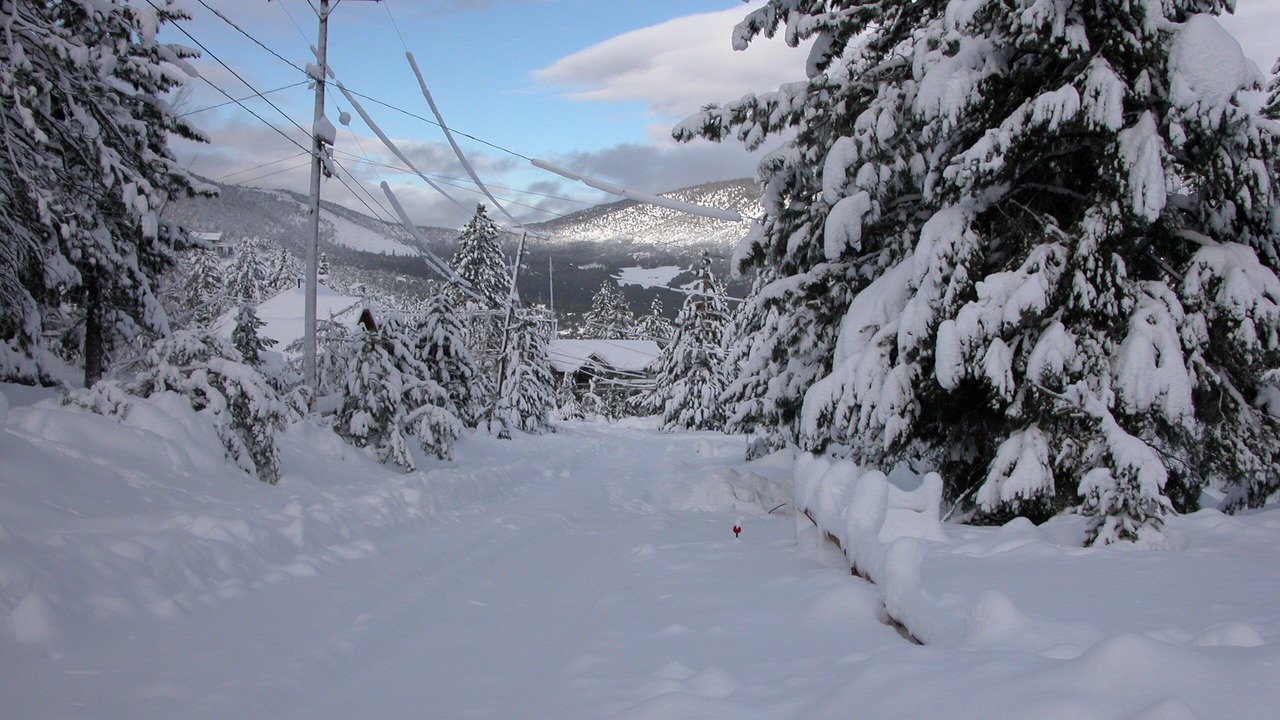 Photo of Others in Pine Mountain Club