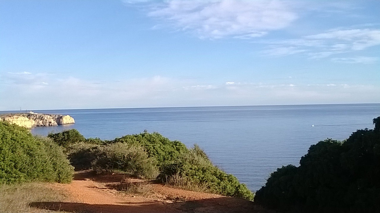 Photo of Others in Funchal