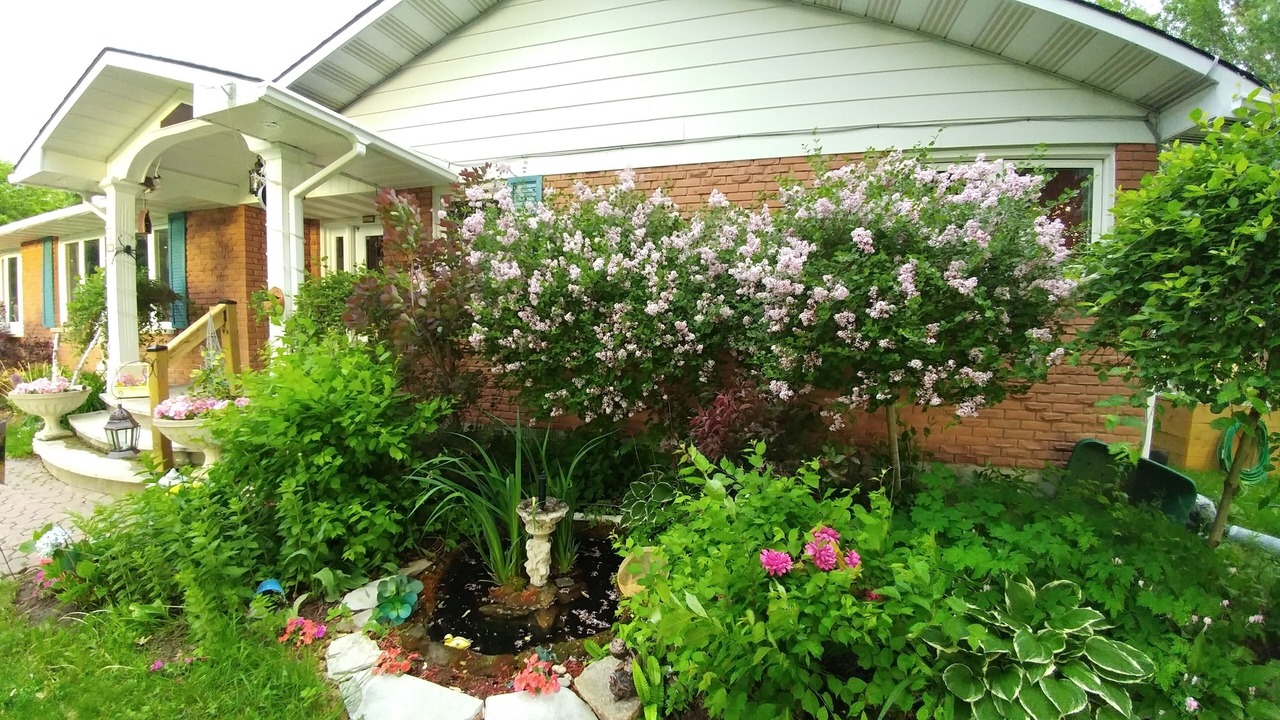 Photo of Outdoor in Portland