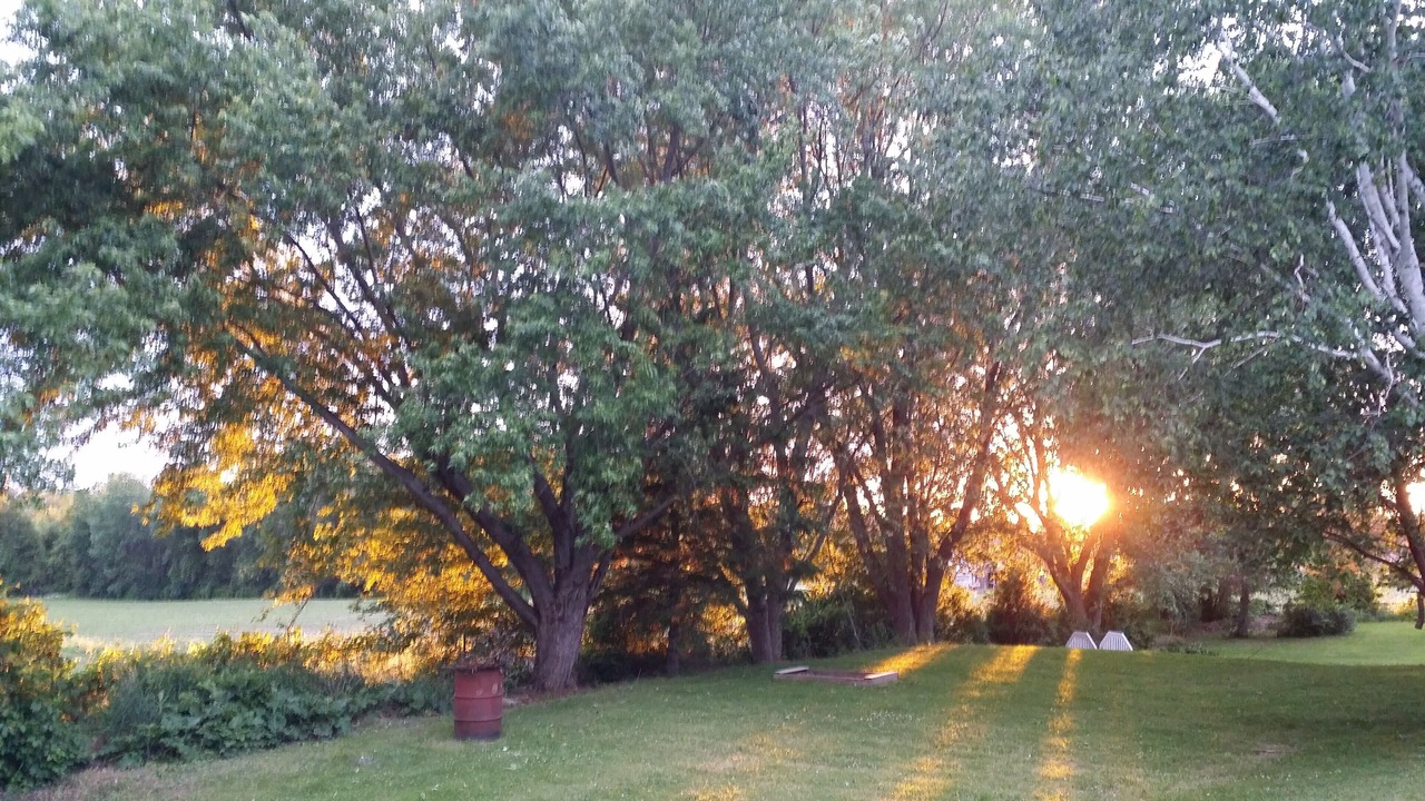 Photo of Outdoor in Portland