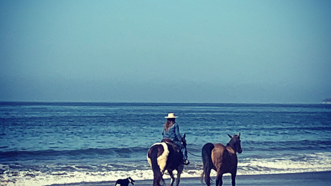Photo of Others in Summerland