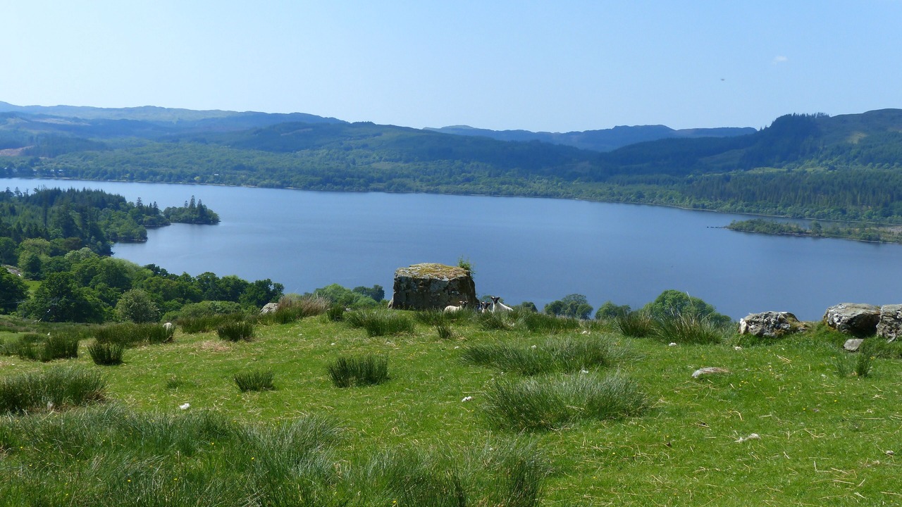 Photo of Others in Dalmally