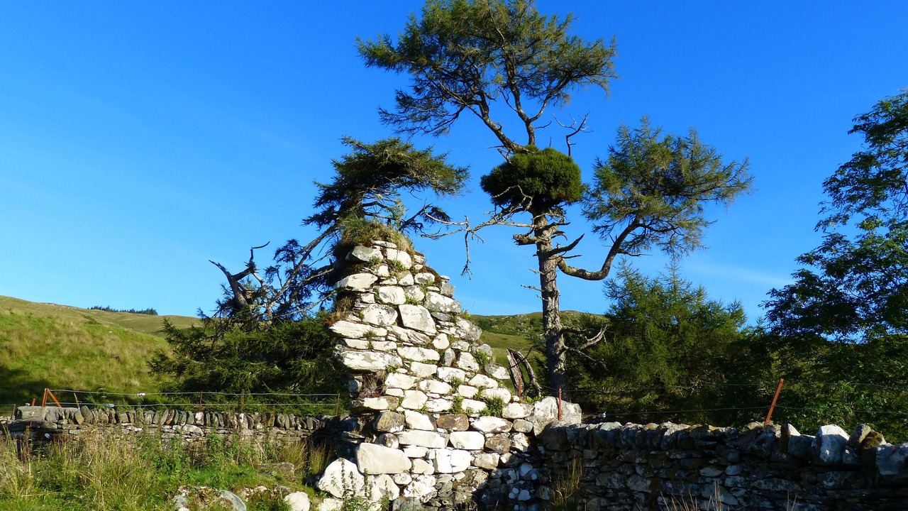 Photo of Others in Dalmally