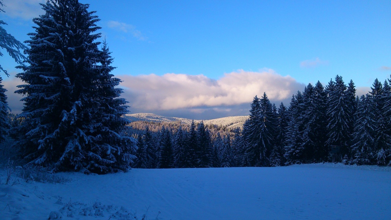 Photo of Others in Dachsberg