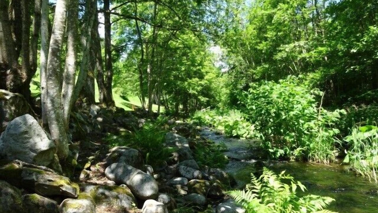 Photo of Outdoor in Dachsberg