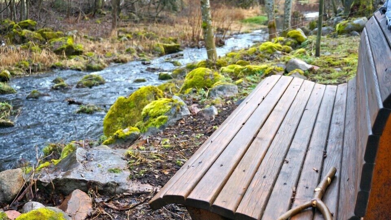 Photo of Outdoor in Dachsberg