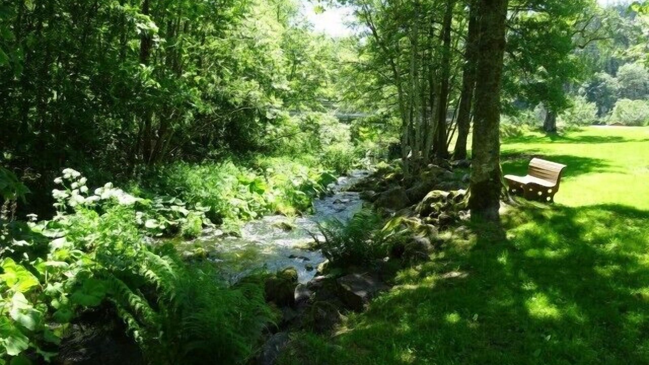 Photo of Outdoor in Dachsberg