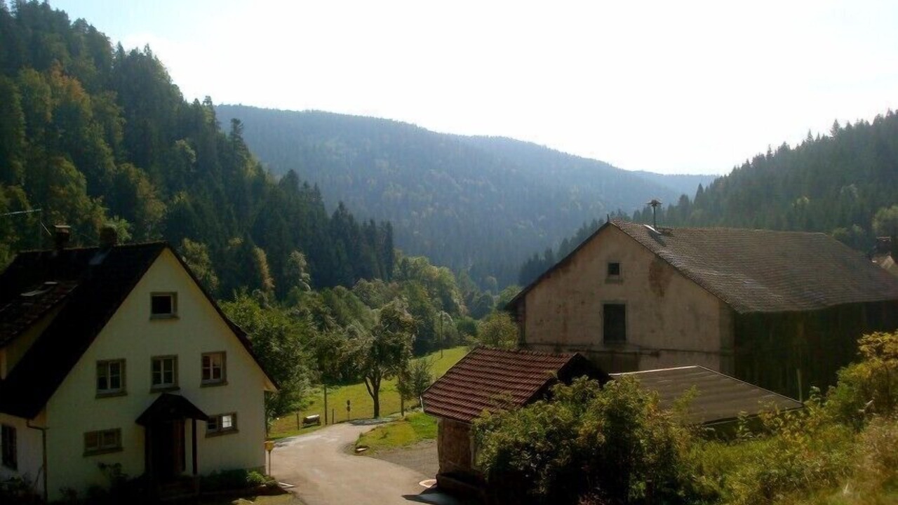 Photo of Outdoor in Dachsberg