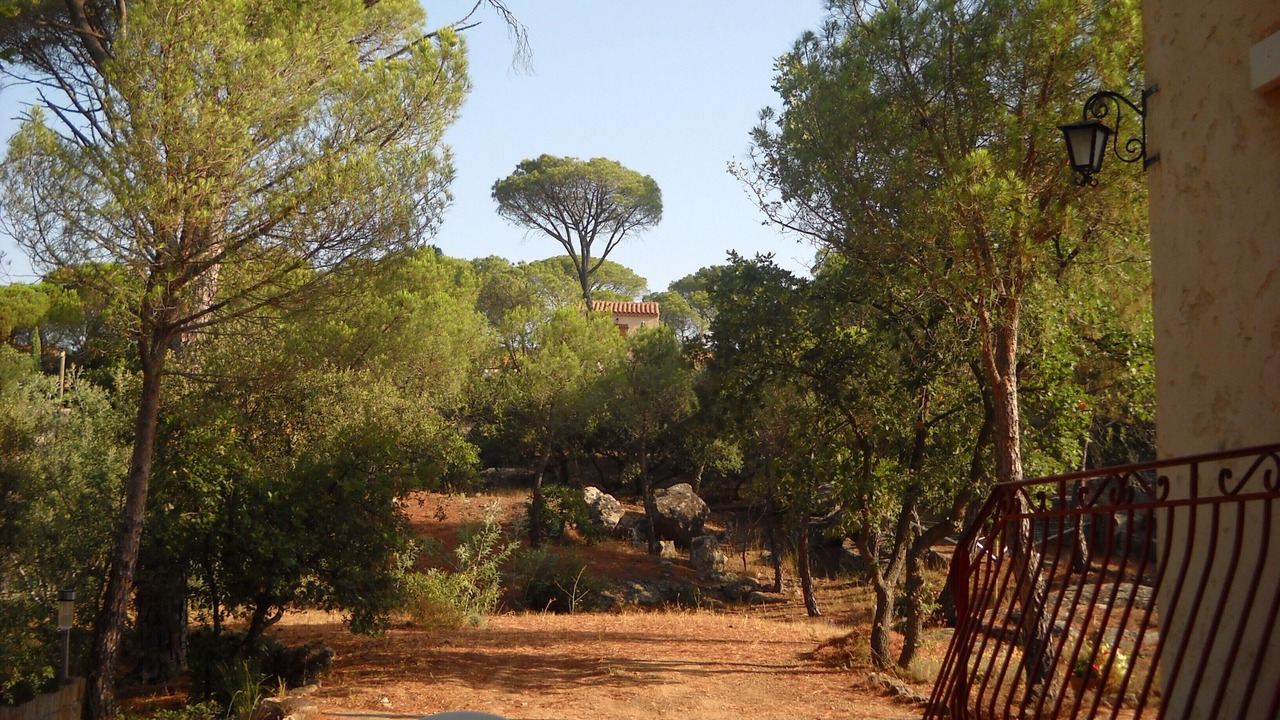 Photo of Outdoor in Vidauban
