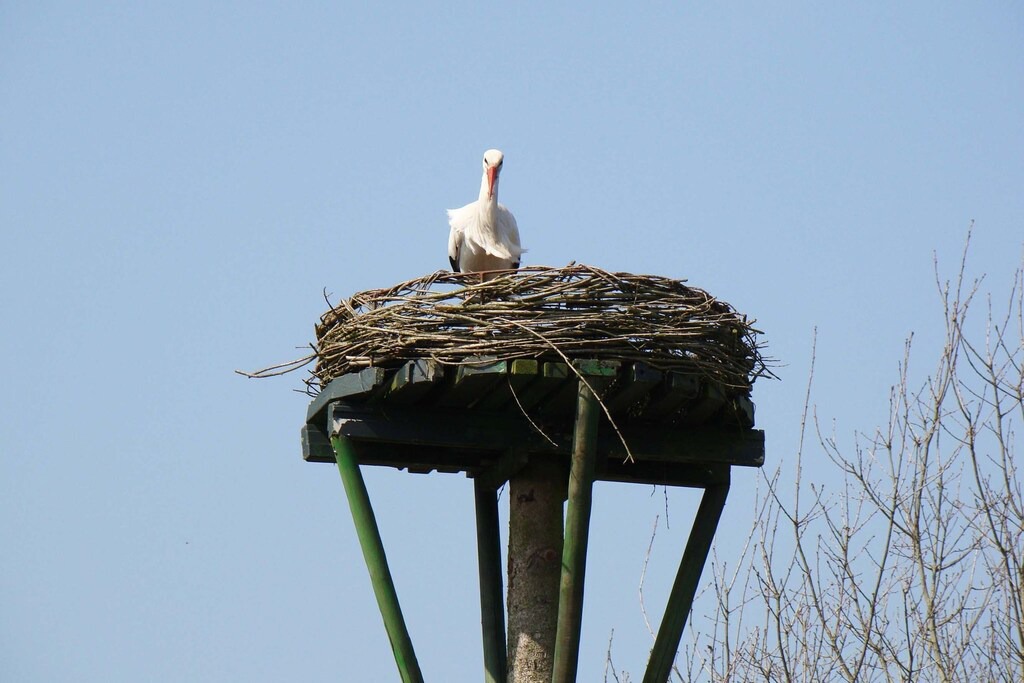 Photo of Others in Bazuin
