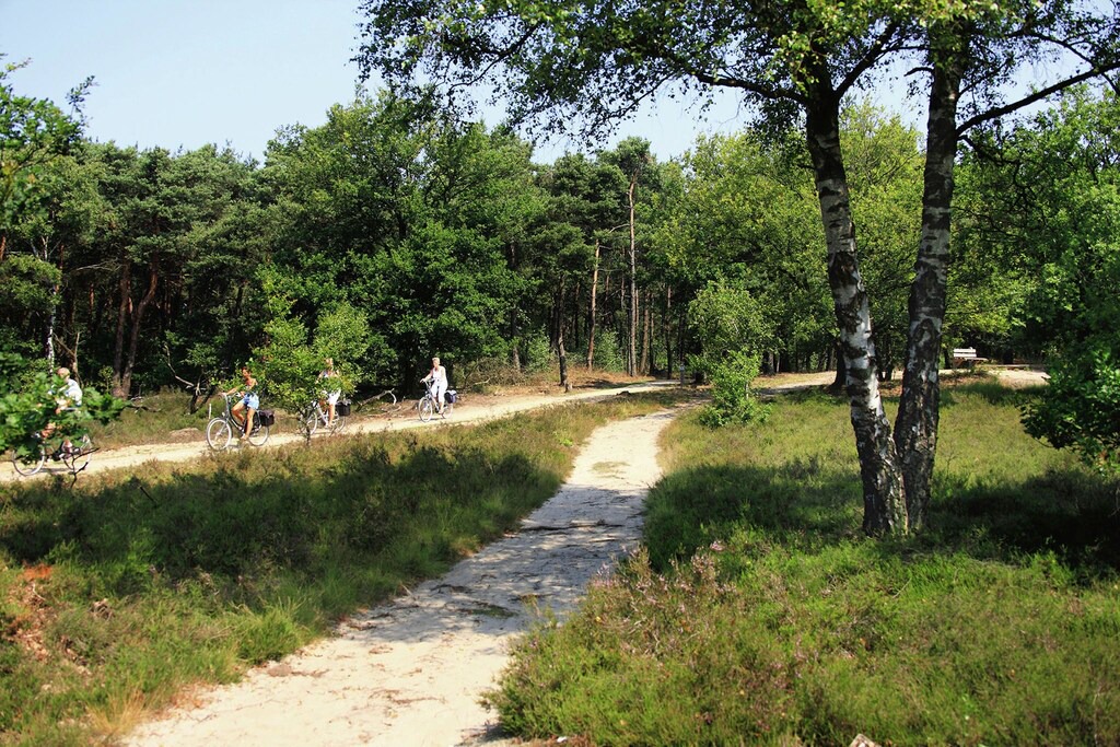 Photo of Others in Bazuin