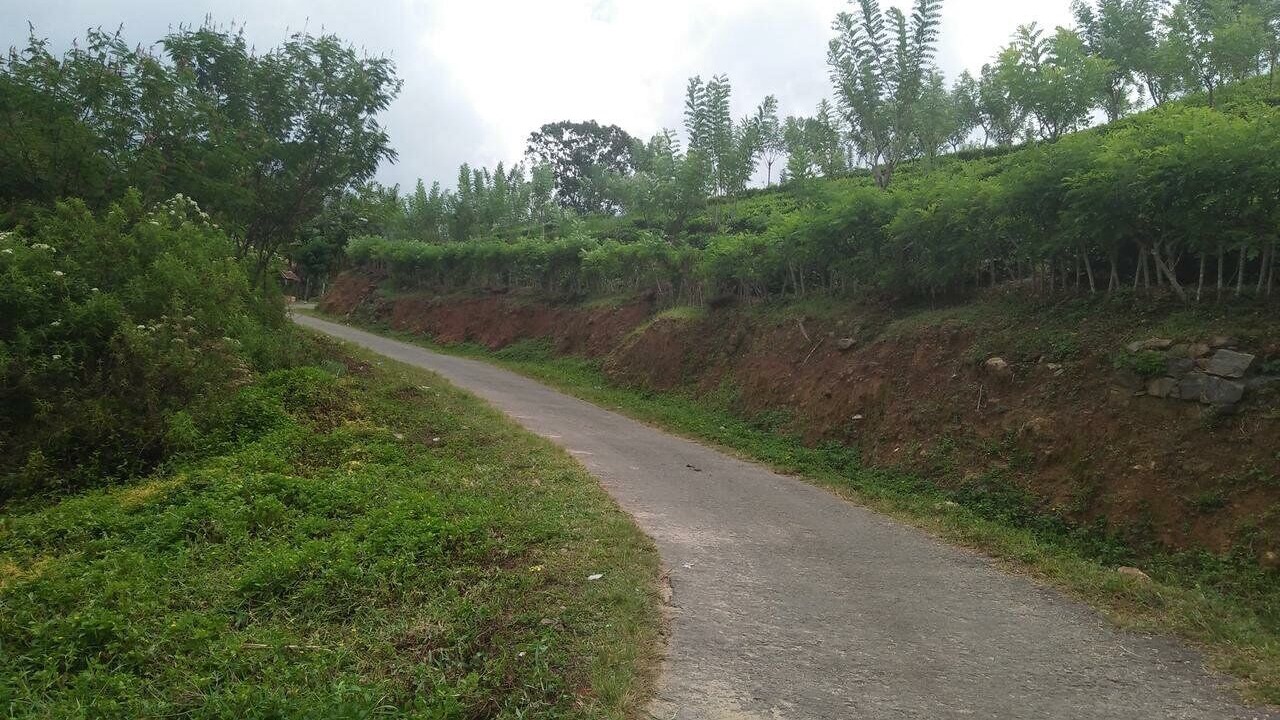Photo of Outdoor in Ella