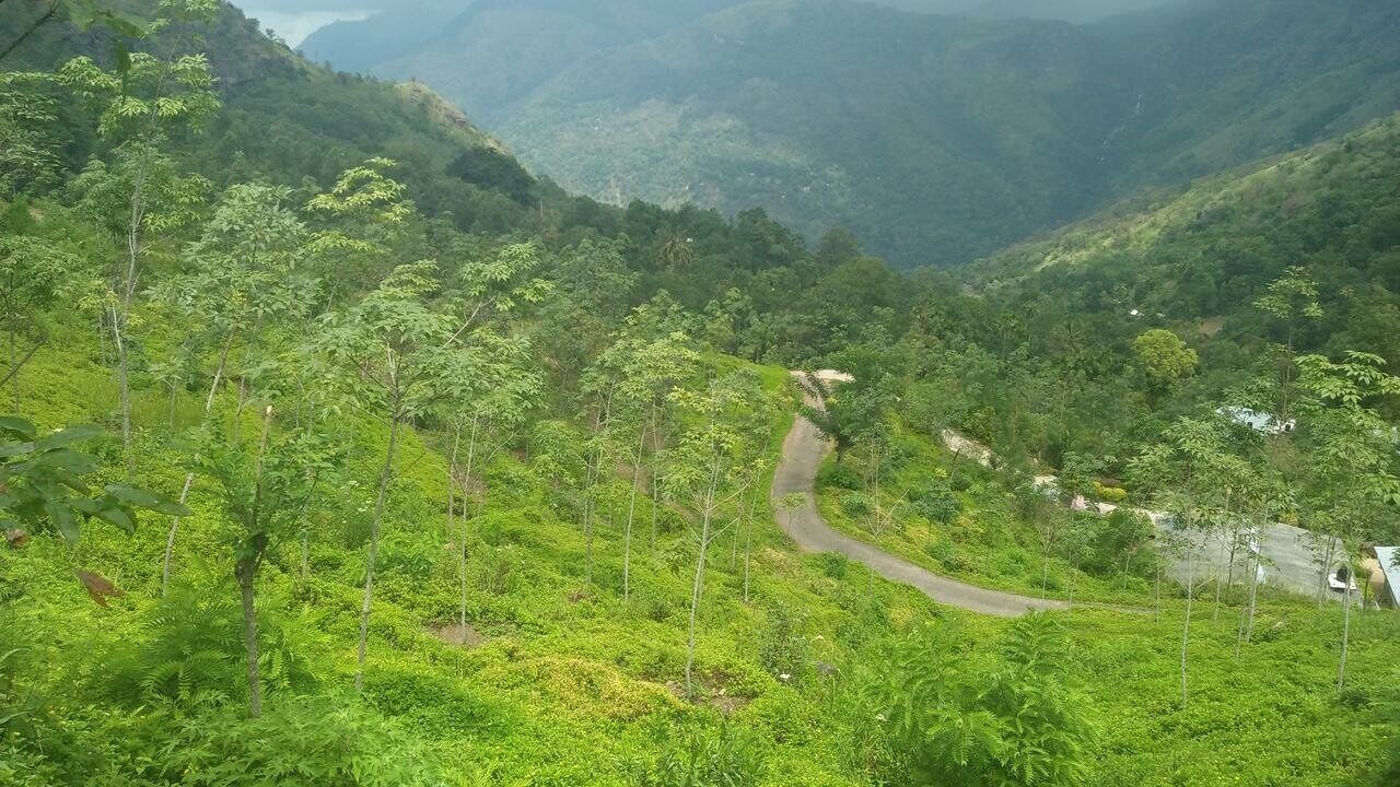 Photo of Outdoor in Ella